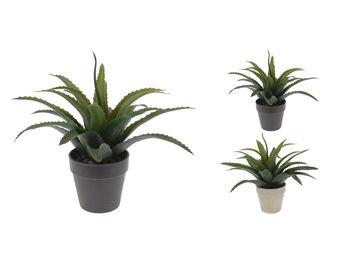 Plantă decorativă de Aloe ProGarden, 25cm,  în ghiveci, gri 