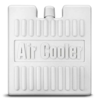 cumpără Răcitor de aer Aircooler TROTEC PAE 21 în Chișinău 