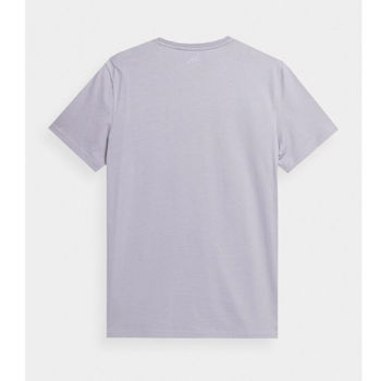 купить Футболка 4F TSHIRT M309 4FSS23TTSHM309 COLD LIGHT GREY в Кишинёве 