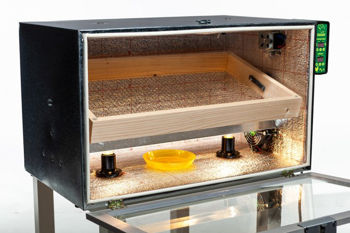 Incubator automat de oua cu lampa Tandem 120 