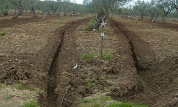 купить Система подземного капельного орошения для садов и виноградников - Ирритек в Кишинёве 