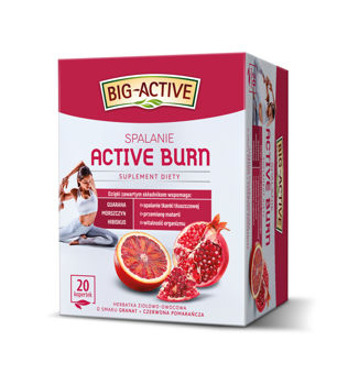 купить Чай Big Active Burn, 20 шт. в Кишинёве 