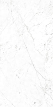 COSMOS WHITE 60x120 cm 