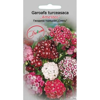 cumpără Seminte de Garoafa turceasca catifelata 0,3 g (1209 30 000)  DS în Chișinău 