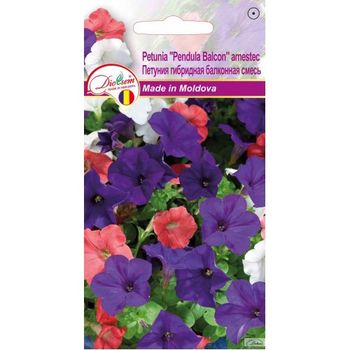 cumpără Seminte de Petunia Pendula Balcon amestec 0.1 g (1209 30 000)  DS în Chișinău 