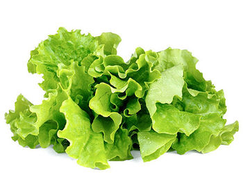 SMART HOME GREEN LETTUCE REF. GLETT-REFILL-3 CLICK&GROW