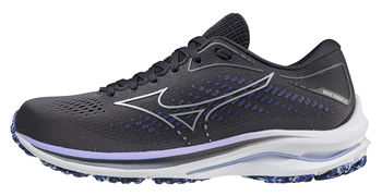 купить Кроссовки для бега Mizuno Wave Rider 25 J1GD2103 93 в Кишинёве 