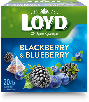 cumpără LOYD Blackberry & Blueberry, 20 pac. în Chișinău 