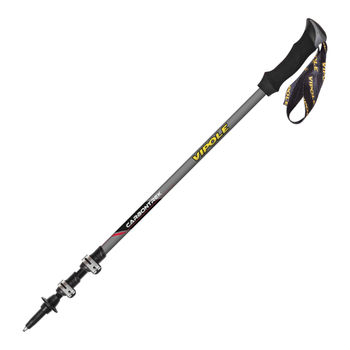 cumpără Bete trekking Vipole Carbon QL Roundhead DLX, plume, S19 07 în Chișinău 