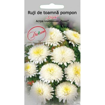 cumpără Seminte de Ruji de toamna pompon Lux 0,3 g (1209 30 000)  DS în Chișinău 