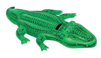 cumpără Intex Crocodil gonflabila 203х114 cm în Chișinău 