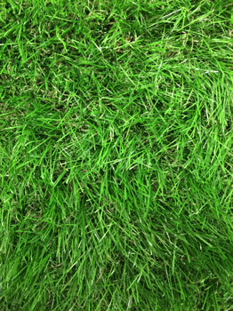 Ландшафтная декоративная трава газон PP 38mm 