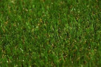 Ландшафтная декоративная трава газон PP 29mm 