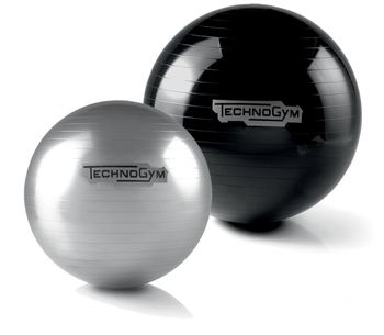 Мяч Technogym Wellness Ball Training (4782) 