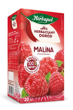 cumpără Ceai de fructe Tea Garden Raspberry, 20 plicuri în Chișinău 