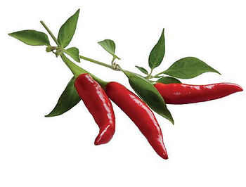 SMART HOME CHILI PEPPER REFILL 3PACK CHIL-REFILL-3 CLICK&GROW