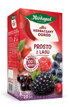 cumpără Ceai de fructe Tea Garden Forest Fruit, 20 plicuri în Chișinău 