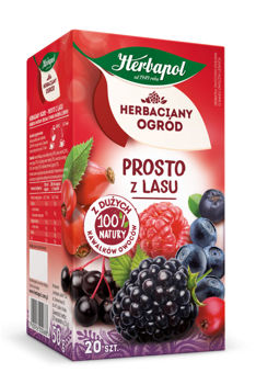 Чай фруктовый Tea Garden Forest Fruit, 20 шт 