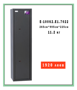 E-100K2.T1.7022 