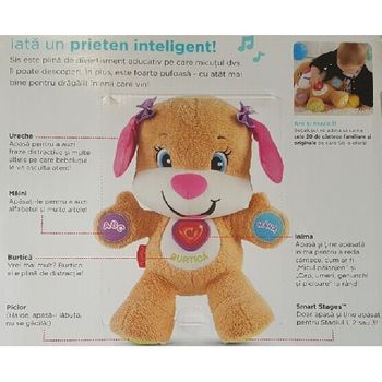 cumpără Fisher Price Surioara Inteligentă Smart Stages, rom. în Chișinău 