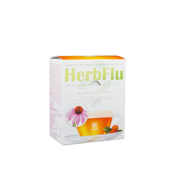 cumpără SBA Herbflu(Catina,ghimbir,zinc, vit.C) gran/oral.sol N10 în Chișinău 