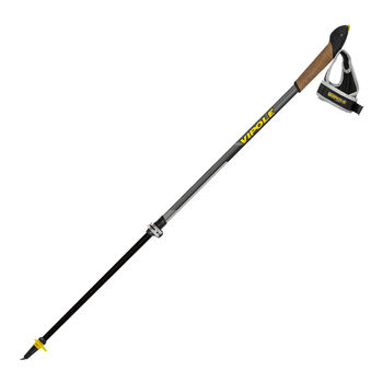 cumpără Bete nordic walking Vipole Instructor Vario QL DLX, dark, S20 27 în Chișinău 