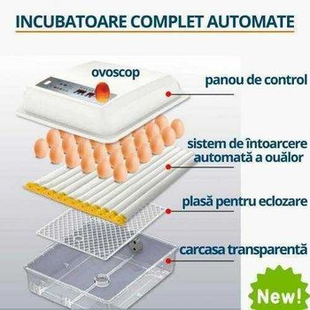 Incubator MS-36 NEW 