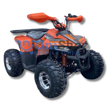 ATV pe benzină Andes 110CC 