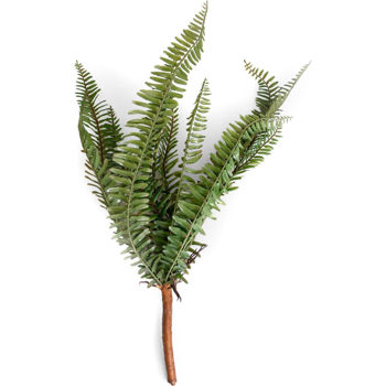 Deco Ramura decorativa