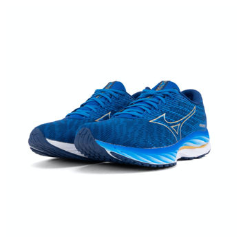 купить Кроссовки для бега Mizuno WAVE RIDER 26 J1GC2203 53 в Кишинёве 