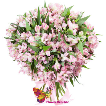 Buchet romantic de 101 alstromerie 