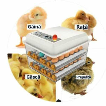 Инкубатор для яиц автоматический MS-120, 120 куриных, 98 утиных, 260 перепелиных яйца 