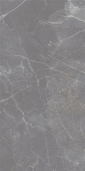 MAISON GREY POLISHED 60x120 cm 