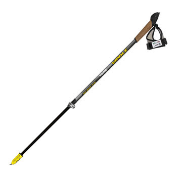 cumpără Bete nordic walking Vipole Vario Top-Click QL Silent DLX, S19 47 în Chișinău 