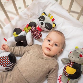 купить BabyOno C-More подвеска для коляски Racoon Felix в Кишинёве 