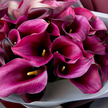 Buchet din Calla neagra 