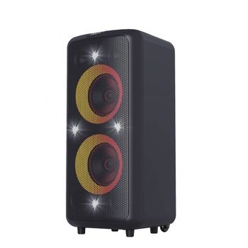 Portable Audio System F&D PA300 