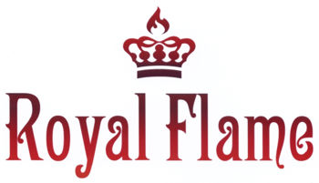 Электрокамин Royal Flame Vision 30 EF LED FX встраиваемый 