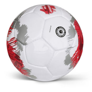 Мяч матчевый футбольный Alvic Radiant N5 (497) 