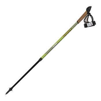 cumpără Bete nordic walking Vipole Vario Top-Click DLX, green, S20 31 în Chișinău 