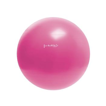 Minge gimnastica cu pompa d=55 cm HMS pink (4824) 