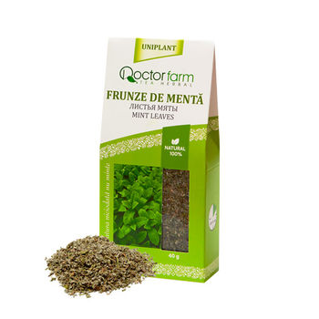 cumpără Ceai Frunze de Menta 40g (Doctor-Farm) în Chișinău 