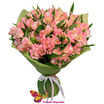 Buchet «Alstroemeria blândă» 