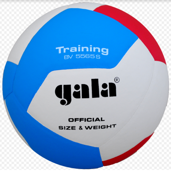 Мяч волейбольный №5 Gala Training 5565 (9000) 