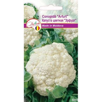 cumpără Seminte de Conopida Arfurt 0,5 g (1209 91 800)  DS în Chișinău 