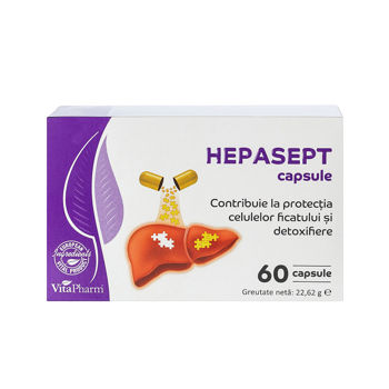 cumpără SBA Hepasept caps. N60 în Chișinău 
