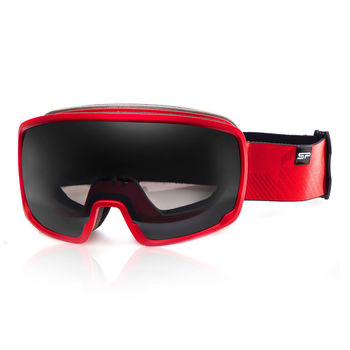 купить Маска лыжная Spokey Grays Goggles, 92669x в Кишинёве 