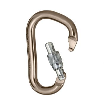 cumpără Carabinier alu Black Diamond RockLock Screwgate 24 kN, 210256 în Chișinău 