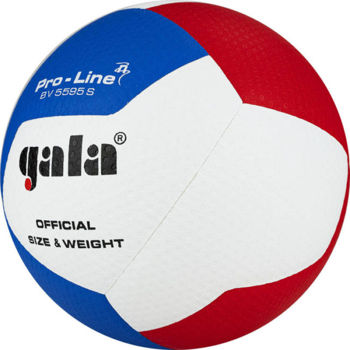 Minge volei №5 Gala Pro-Line FIVB Approved 5595 (8999) 