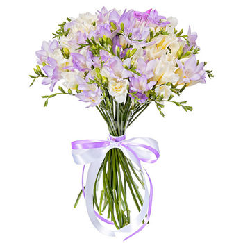 Buchet de alb violet fressia 